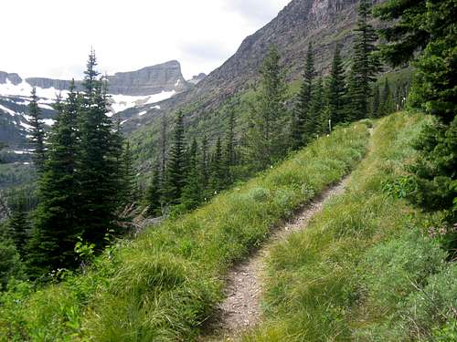 Trail and Triple Divide Peak