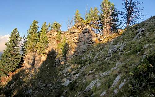 Rock hugging trees on the Tellakopf east ridge
