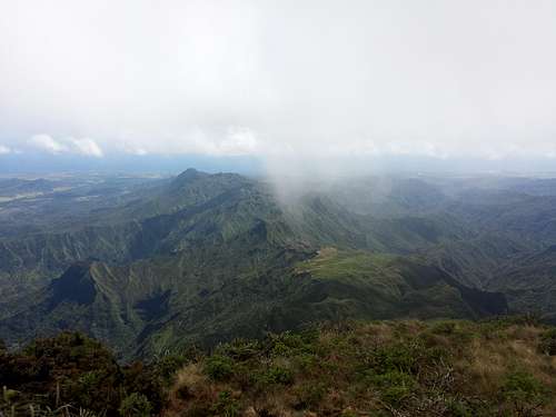 Lihue-Koloa Forest Reserve looking South from Kawaikini