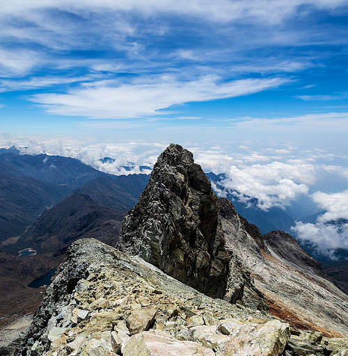 pico el ruiz teran