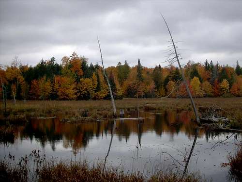 Unnamed Pond in Baraga County
