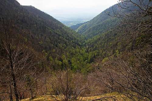 Bistrica valley from hunter's path