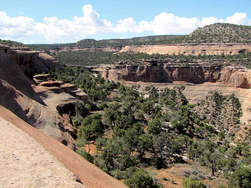 Branch of Monument Canyon