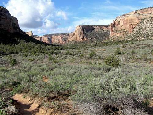 Ute Canyon Trail