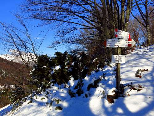 Signposts on Prati di Guil
