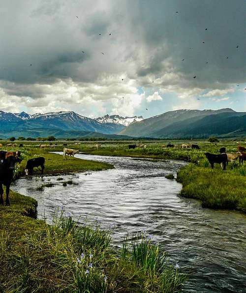 Buckeye Creek Bridgeport Valley