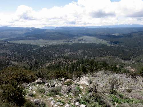 View south down 1,500' to a meadow below