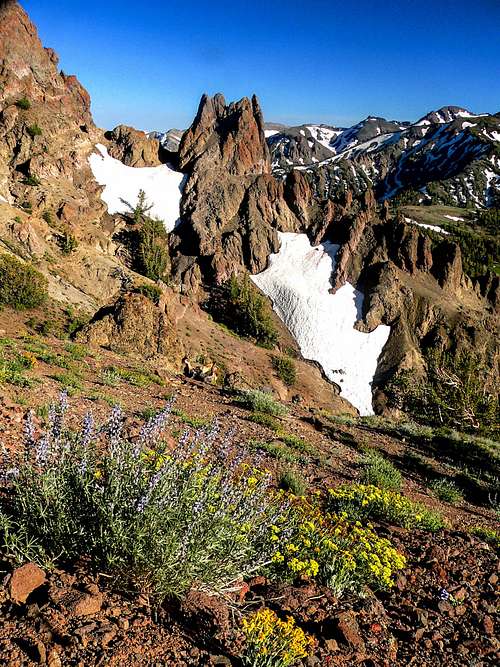 Pacific Crest Trail Sonora Pass