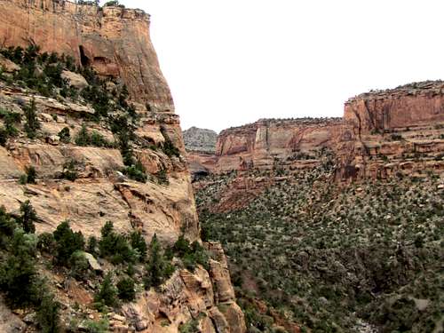 Kodels Canyon & Fruita Dugway