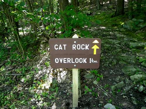 Cat Rock Trail