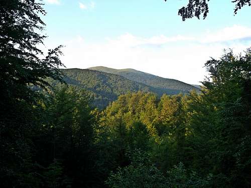 Mt. Połonina Caryńska from the trail to Nasiczne Village