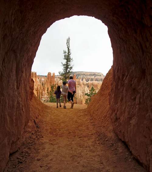 Through the tunnel