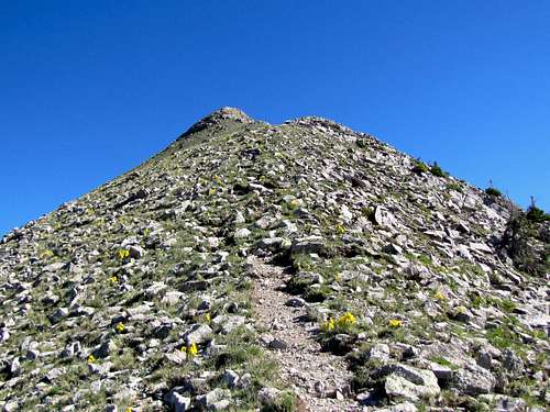 False summit of Pagosa Peak