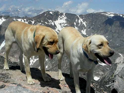 Rocky and Sugar on Whitetail Peak