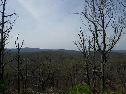 View from Buzzard Hill