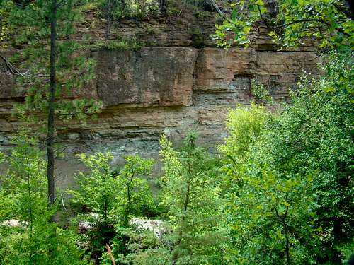 Little Elk Canyon Limestone
