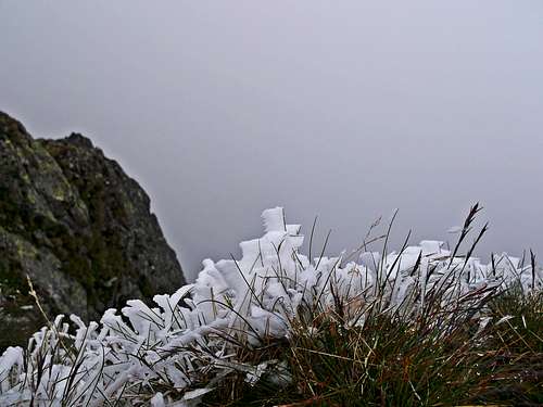 Frost in July on the summit