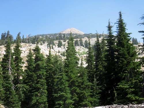 Pyramid Peak from the forest