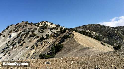 Hike to Mt Baldy on Bear Canyon Trail
