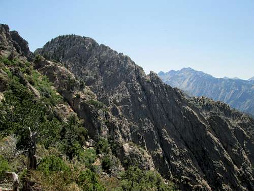 Summit ridge of Mount Olympus seen from the top of the West Slab route, Wasatch Range UT