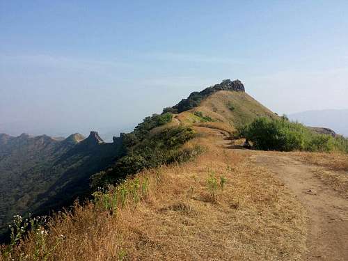 Trail on Rajgad