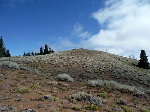 The slopes of Taneum Butte