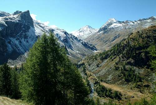 From Lower to Middle part of Bardoney Vallon 2003