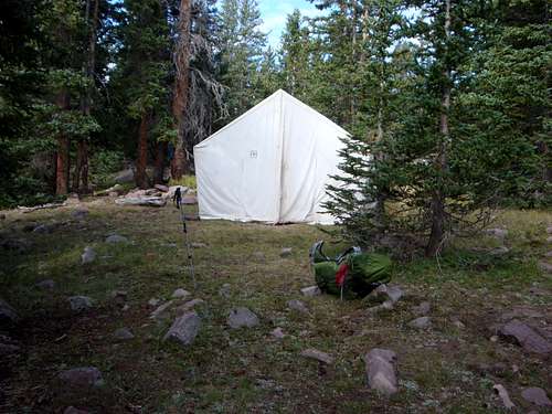 Ashley NF Tent