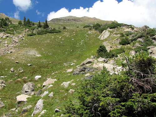 The summit of Bowen Mountain