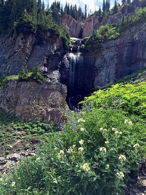 Scenic Aspen Grove waterfall