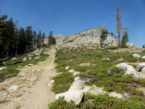 Trail up to Washeshu Peak from the south