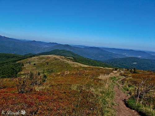 The path leading through the polonyna