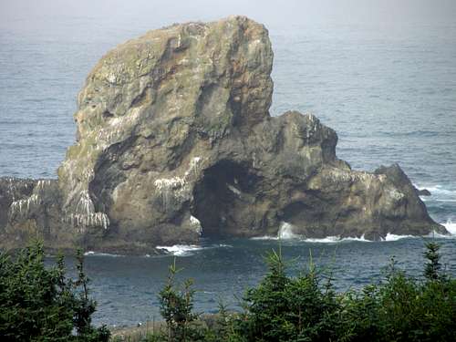 Sea Lion Rock