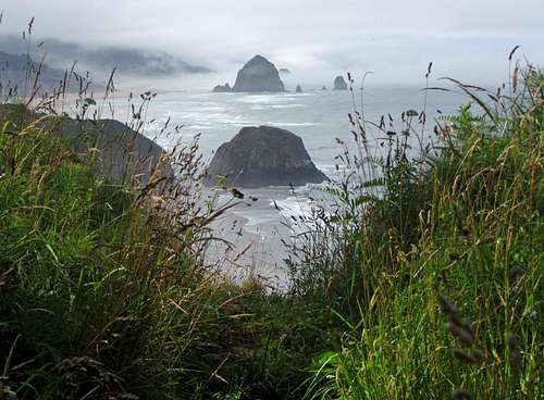 Ecola Point view