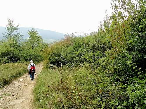Mount Grzywacka - Our hike – September 17, 2016
