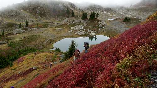 Meadows and Tarns of Yellow Aster Butte