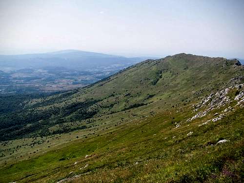 The mild southern slopes of Rtanj