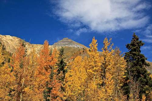 Autumn colors below Hayden Mountain