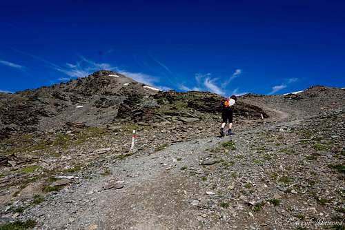 Maarten ascending Scorluzzo (10154 ft / 3095 m)