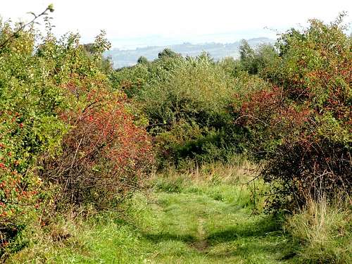 Mount Mogiła - Our hike - September 30, 2016