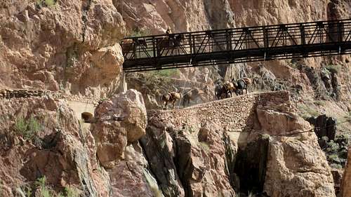 Grand Canyon Black Bridge with mules