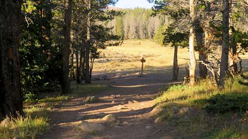 Henrys Fork Trail
