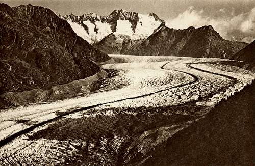 Glacier d'Aletsch - Fiescherhorn