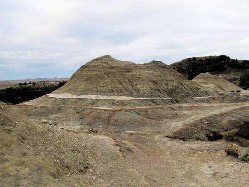 South Petrified Forest Trail
