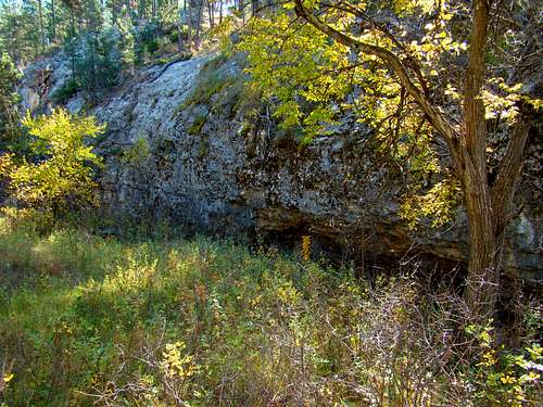 Wildcat Canyon Wall