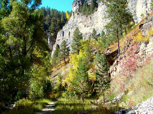 Autumn Along Iron Creek Trail