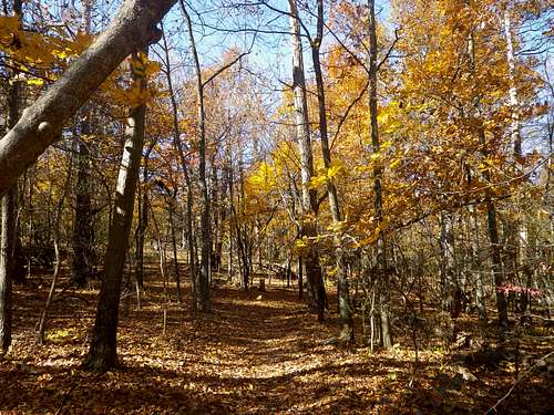 Appalachian Trail Scenery