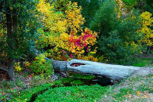 Autumn Colors at Chadron State Park
