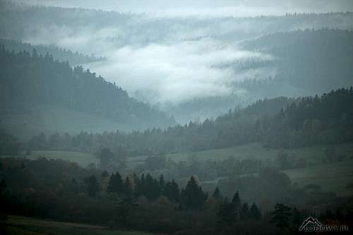 Jasiolka valley in evening mist