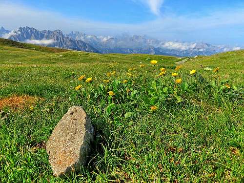 Meadow at Pfannhorn with Dolomiten view